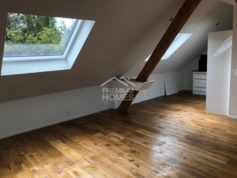 Charmante 2.5-Zimmer-Dachwohnung! (7)
