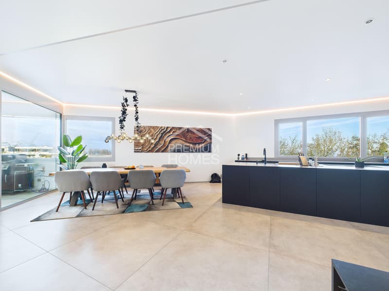 ARCHITECTURAL MASTER APARTMENT WITH LAKE CONSTANCE VIEW (2)