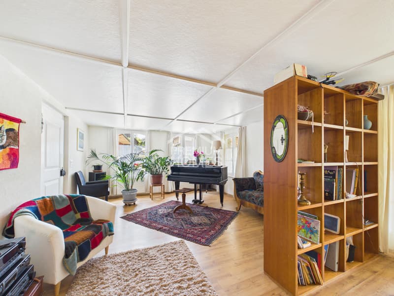 Living, renting, expanding - all in one (8)