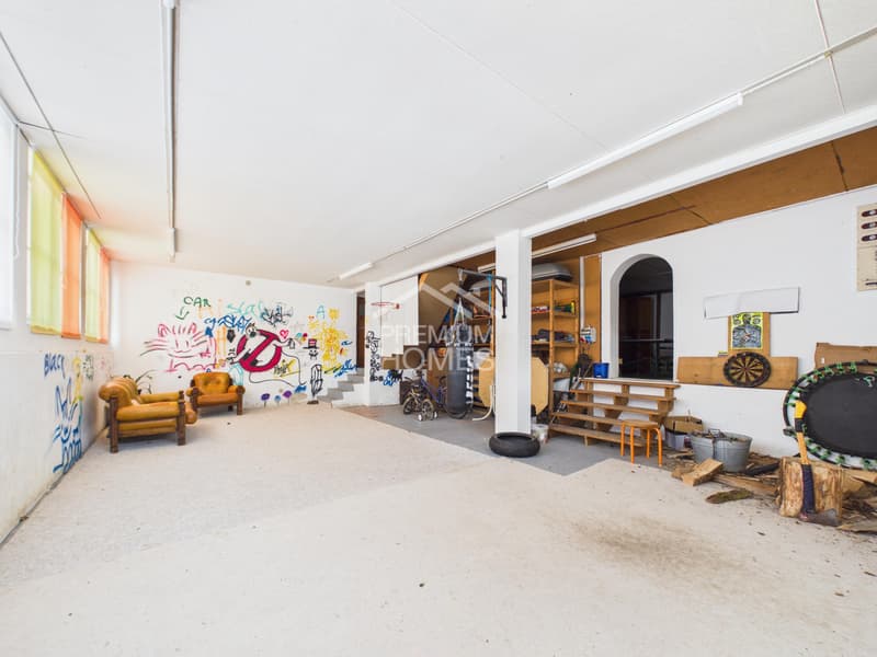 Living, renting, expanding - all in one (13)