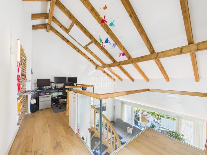 Dreamy living with a view of the mountains (3)