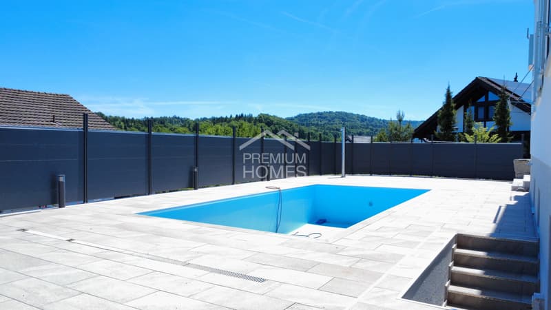 Rénové & avec Piscine - Près de Zurich (3)