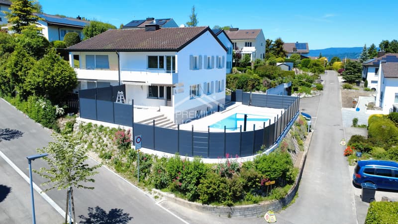 Rénové & avec Piscine - Près de Zurich (4)