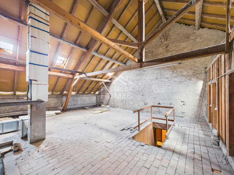 Mixed property with high potential (13)