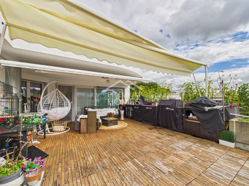 Penthouse apartment with dreamy terrace (8)