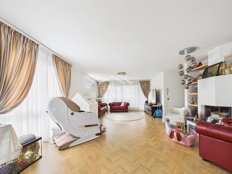 Penthouse apartment with dreamy terrace (2)
