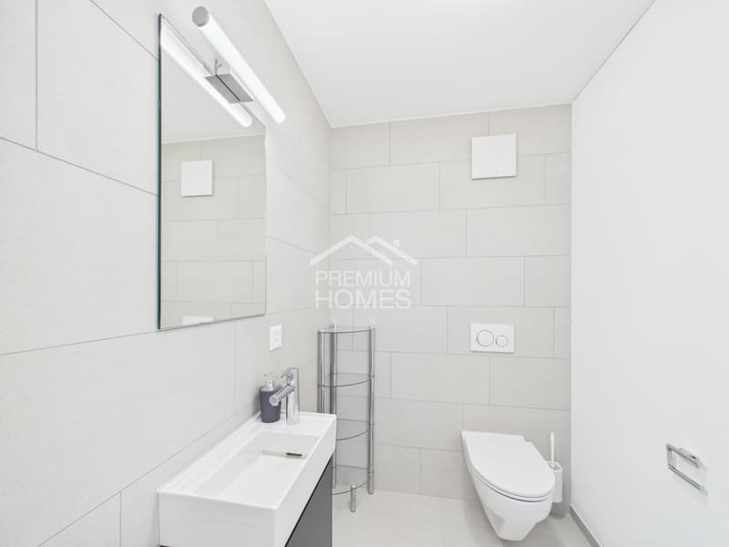 Premier occupant : habitat exclusif avec vue sur le lac (10)