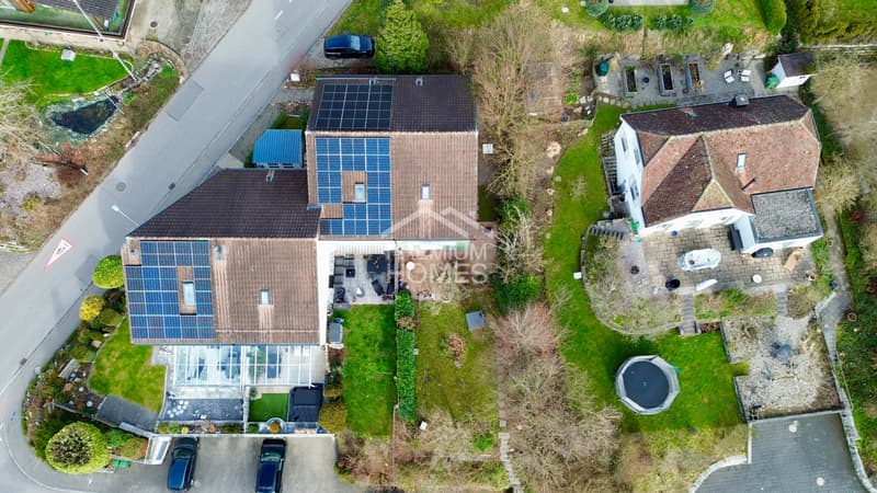 Un jardin qu'on ne trouve guère aujourd'hui (13)