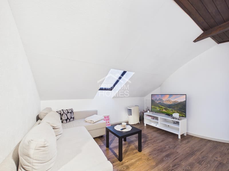 Family paradise with annex and plenty of space (7)
