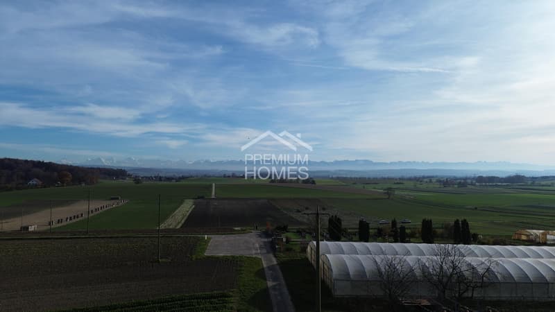 Projet de rénovation avec potentiel à Brüttelen Seeland (1)