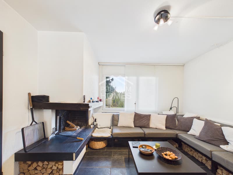 Familienparadies mit Einliegerwohnung und viel Platz (2)