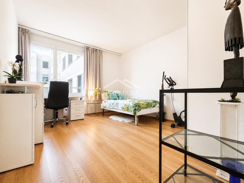 Appartement unique et exclusif au cœur de Bâle (8)