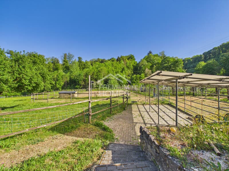 A place to live, love and ride (10)