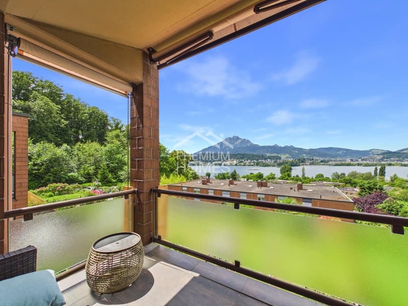 Exclusive living with unobstructable lake view (12)