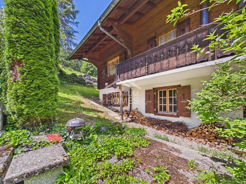 Holiday apartment with a view, charm and comfort! (11)