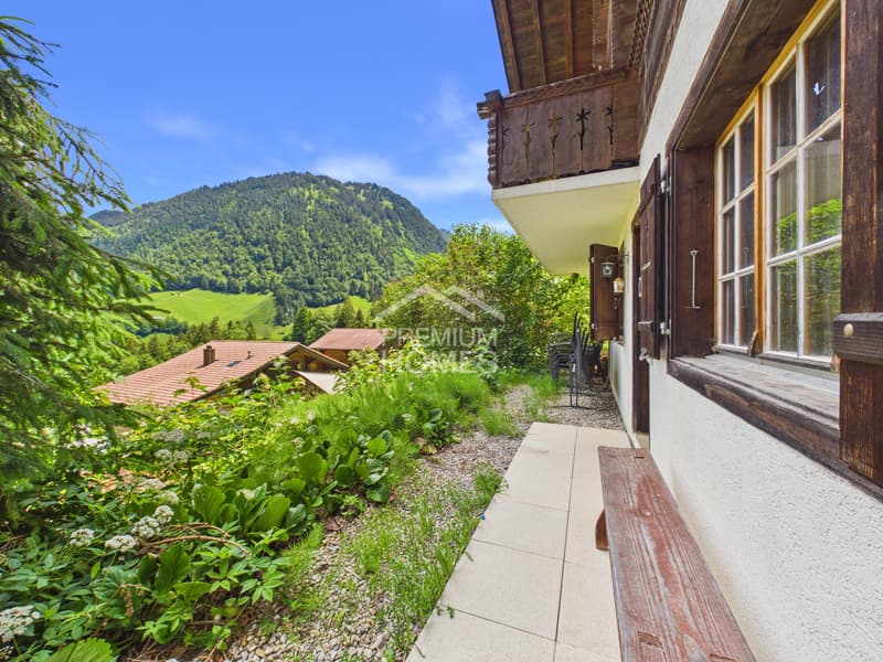 Holiday apartment with a view, charm and comfort! (2)