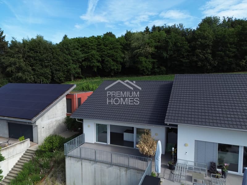 Stilvolles Doppelhaus im Grünen (1)