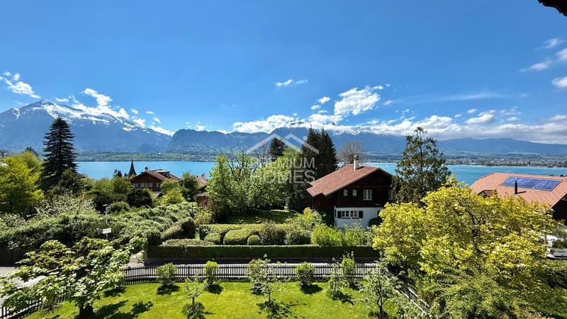 Immeuble ancien avec 636 m² de terrain - Votre réalisation au lac de Thoune ! (5)