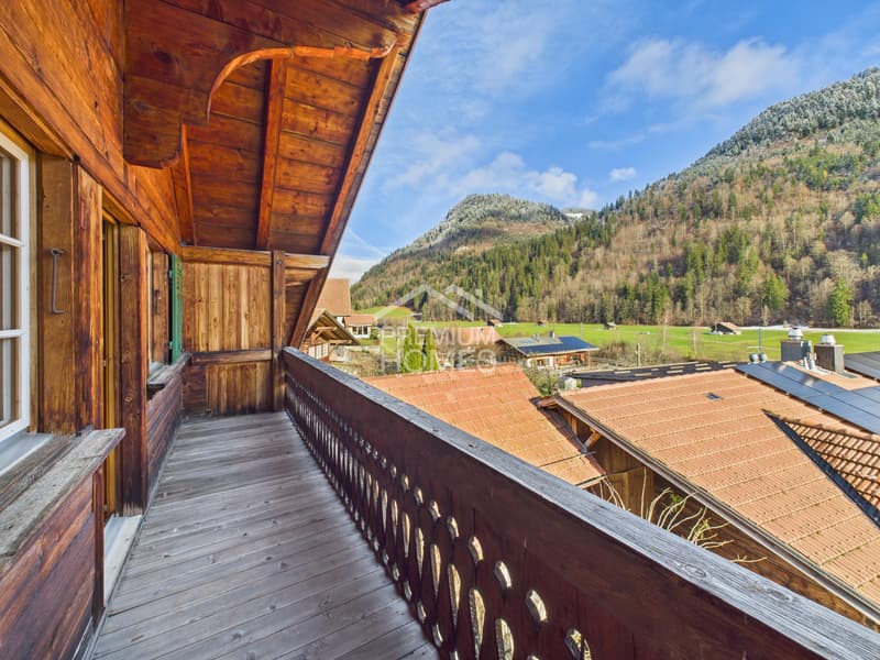 Investir & Profiter - Une maison de rêve simmental ! (11)