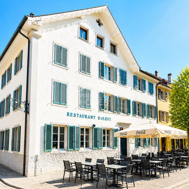 INVESTITORI PRESTO ATTEZZIONE 7.1% RENDITA LORDA A MOUTIER (JU) (2)