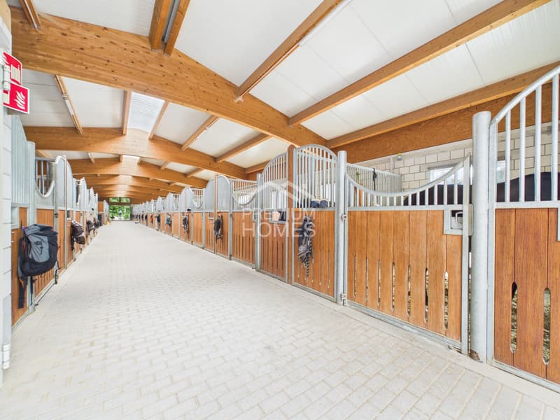 Your life's work between riding hall, nature, and home! (3)