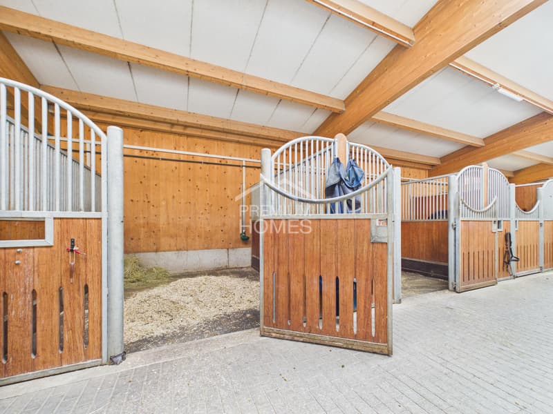 Professional equestrian facility with 24 boxes, riding arena and residential house! (4)