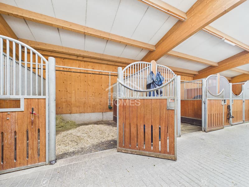 Professionelle Reitanlage mit 24 Boxen, Reithalle und Wohnhaus! (4)