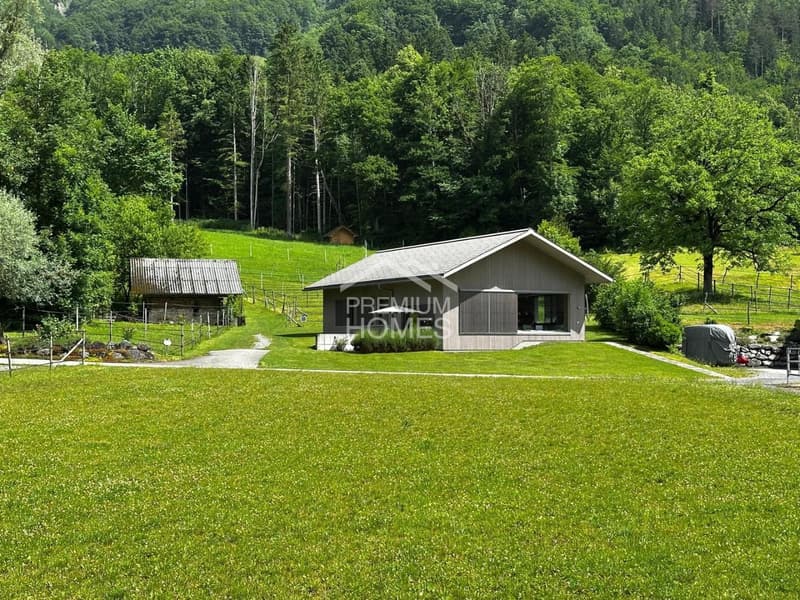 Professional equestrian facility with 24 boxes, riding arena and residential house! (13)