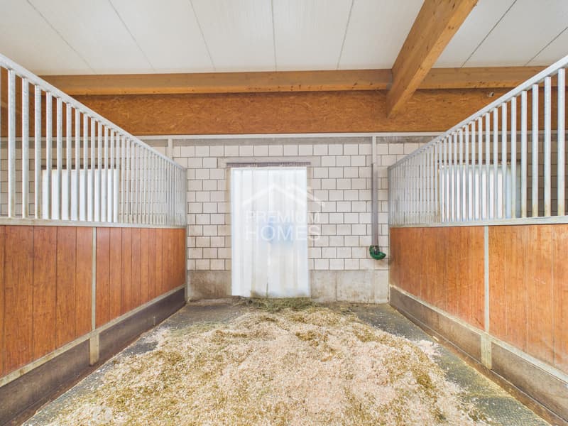 Professionelle Reitanlage mit 24 Boxen, Reithalle und Wohnhaus! (6)