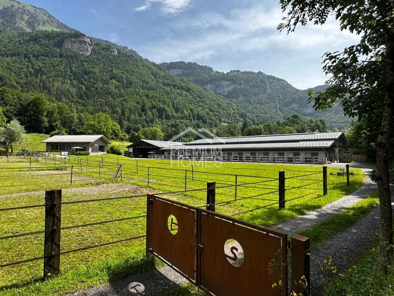 Professional equestrian facility with 24 boxes, riding arena and residential house! (11)