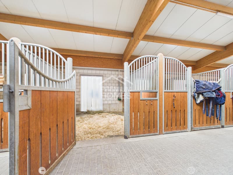 Professionelle Reitanlage mit 24 Boxen, Reithalle und Wohnhaus! (5)