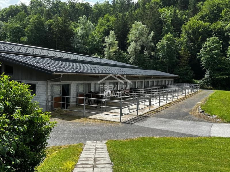 Professional equestrian facility with 24 boxes, riding arena and residential house! (12)