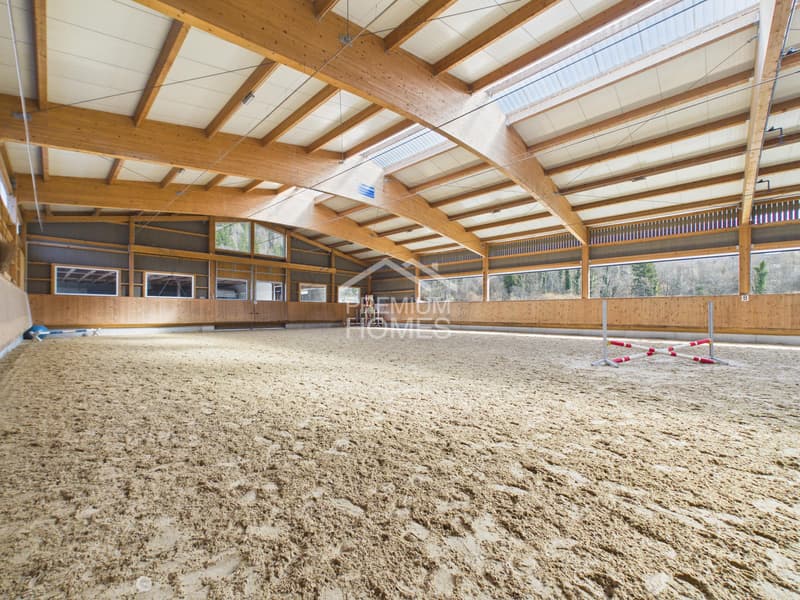 Professionelle Reitanlage mit 24 Boxen, Reithalle und Wohnhaus! (1)