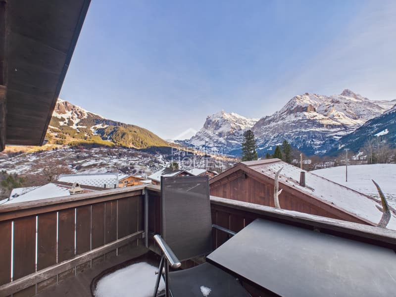 The Jägerstübli & the 4 Suites - Your own rental village! (10)