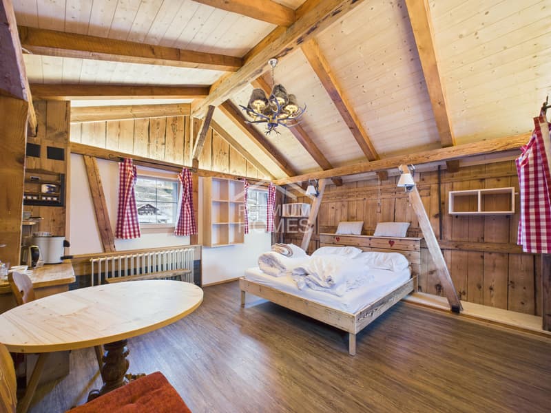 The Jägerstübli & the 4 Suites - Your own rental village! (3)