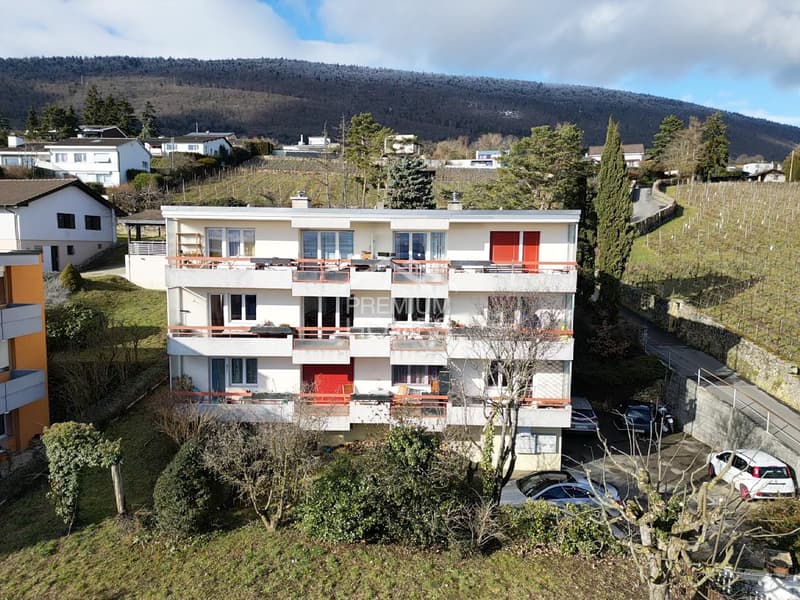 Rental income opportunity near the lake (2)