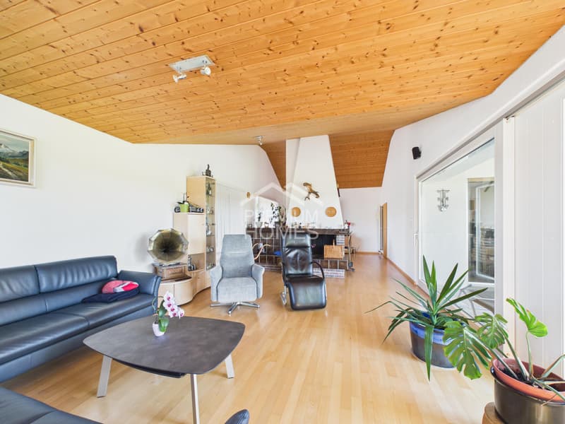 Casa unifamiliare da sogno con vista lontana inobstructabile (3)