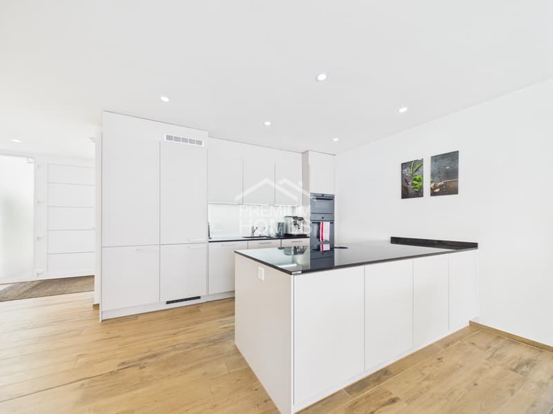 Habitation moderne au niveau le plus élevé (4)