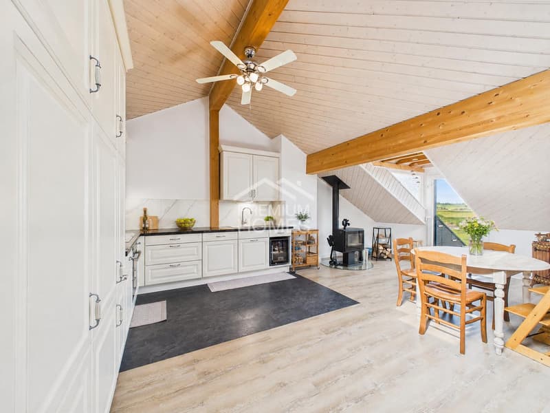 Apartment 4.5 rooms with natural view Chavannes-les-Forts (3)