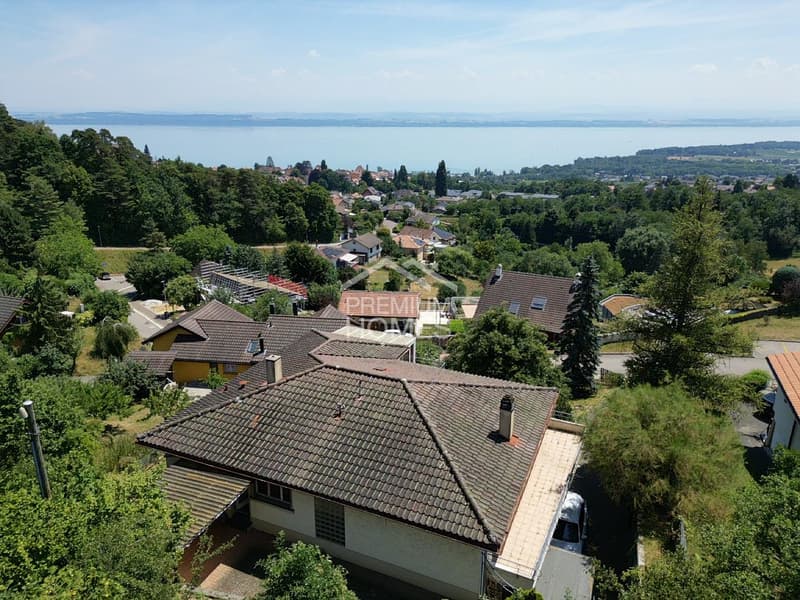 Vue sur le lac, villa à rénover ou projet immobilier d'exception (2)