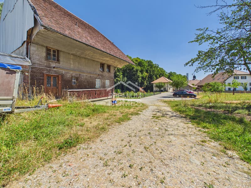 Characterful farmhouse with development potential (5)