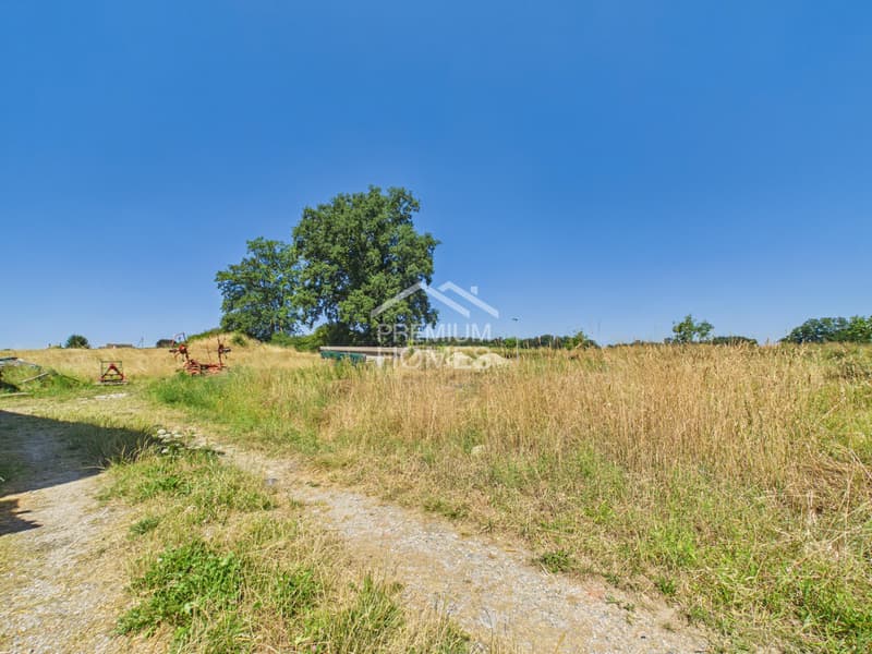 Characterful farmhouse with development potential (4)