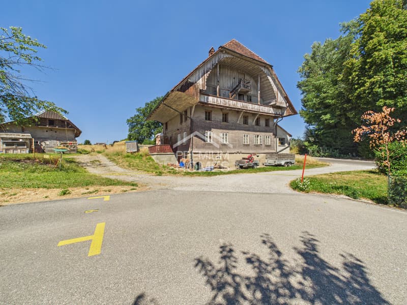Characterful farmhouse with development potential (1)