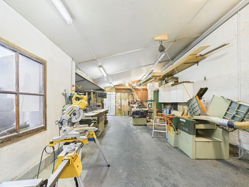 Rare combination of commercial and residential space (3)
