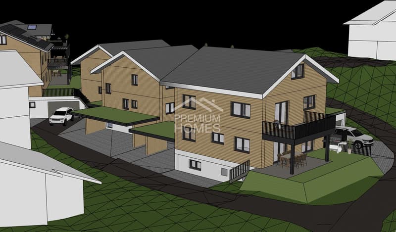 Beautiful single-family house new building where Switzerland began (1)