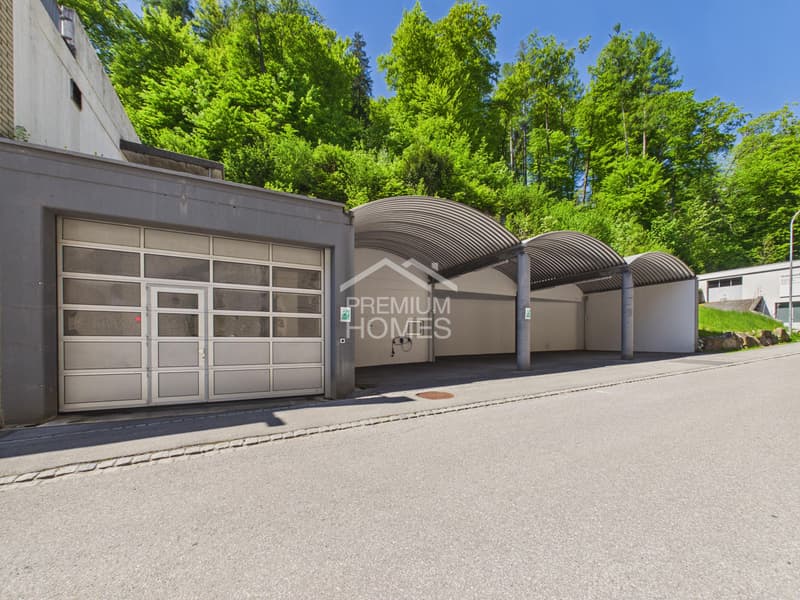 Espace commercial avec showroom ou revenu locatif (3)