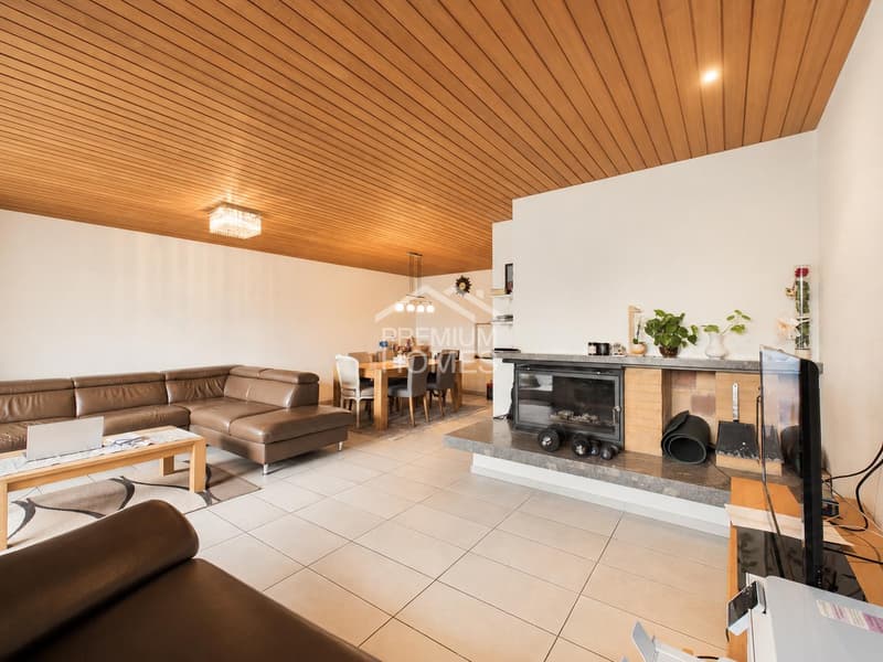 Casa familiare moderna con giardino da sogno a Therwil (5)