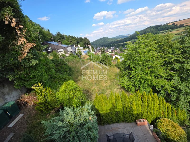 Mountain View - Habitation de terrasse exclusive à Rudolfstetten (3)