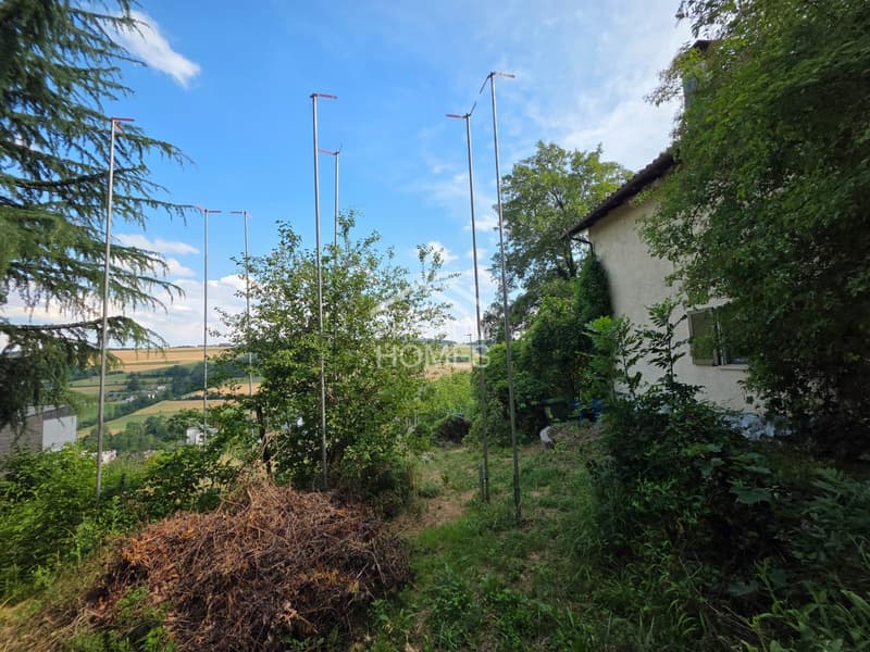 Mountain View - Habitation de terrasse exclusive à Rudolfstetten (4)
