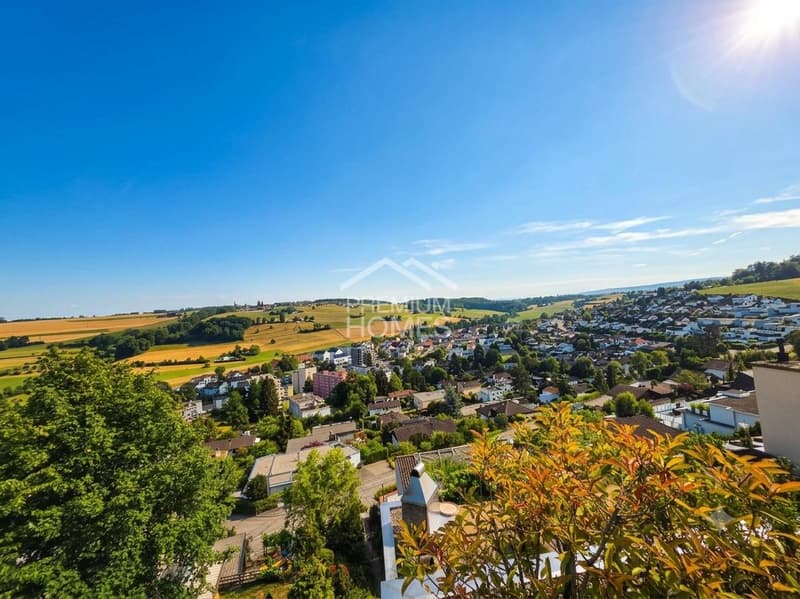 Mountain View - Habitation de terrasse exclusive à Rudolfstetten (1)